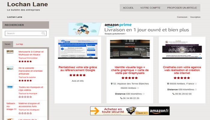Site Web Bulletin des Entreprises